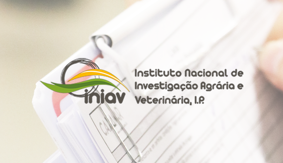 EQUIPA DE PROVEDORES CAXAMAR ESTÁ CERTIFICADA PELO INIAV