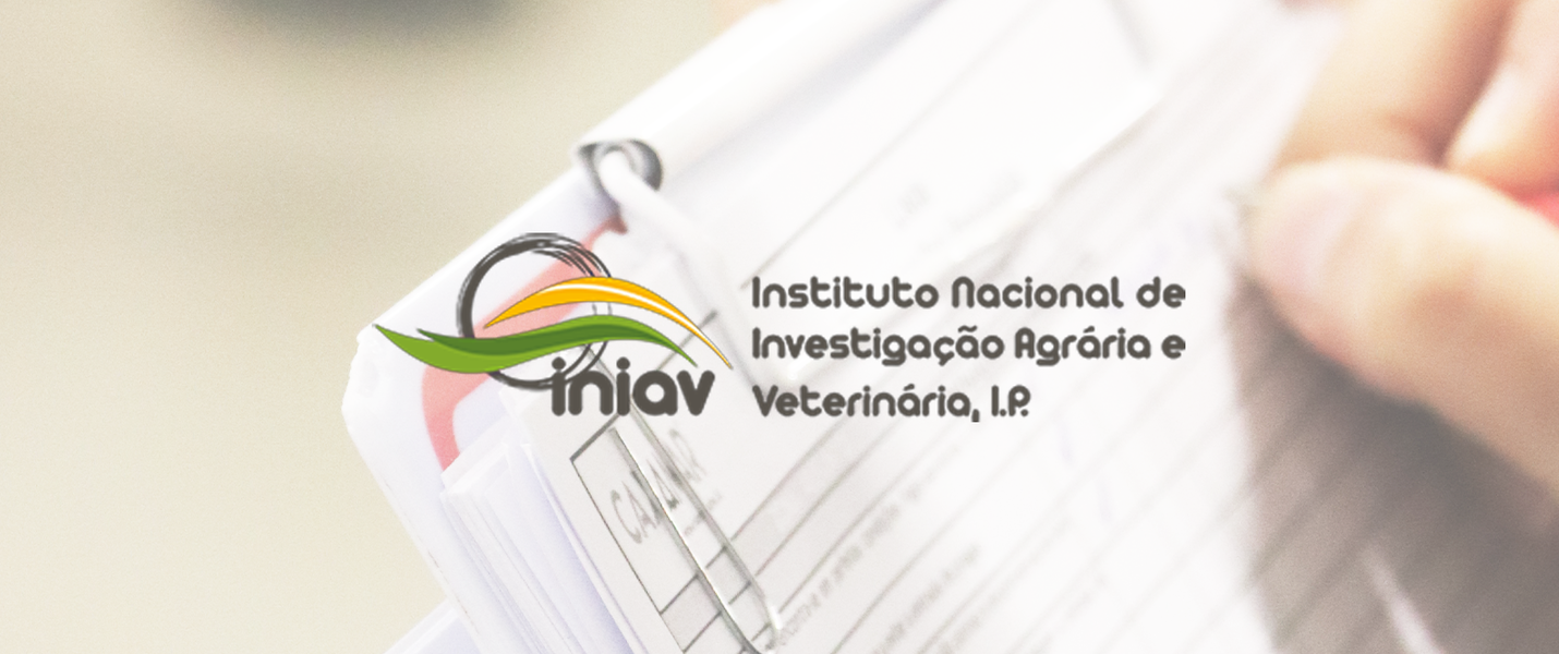 EQUIPA DE PROVEDORES CAXAMAR ESTÁ CERTIFICADA PELO INIAV